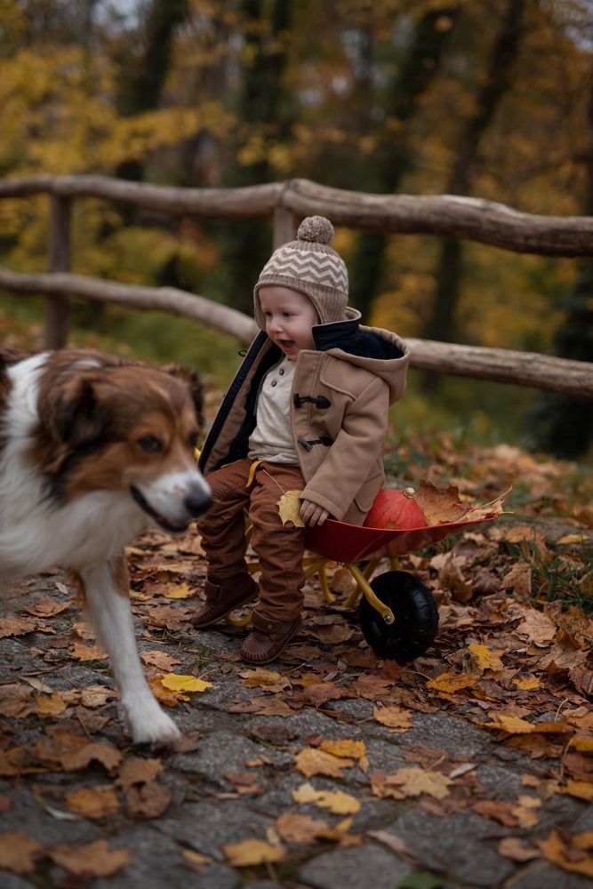 Photograph by Юлия Злотник