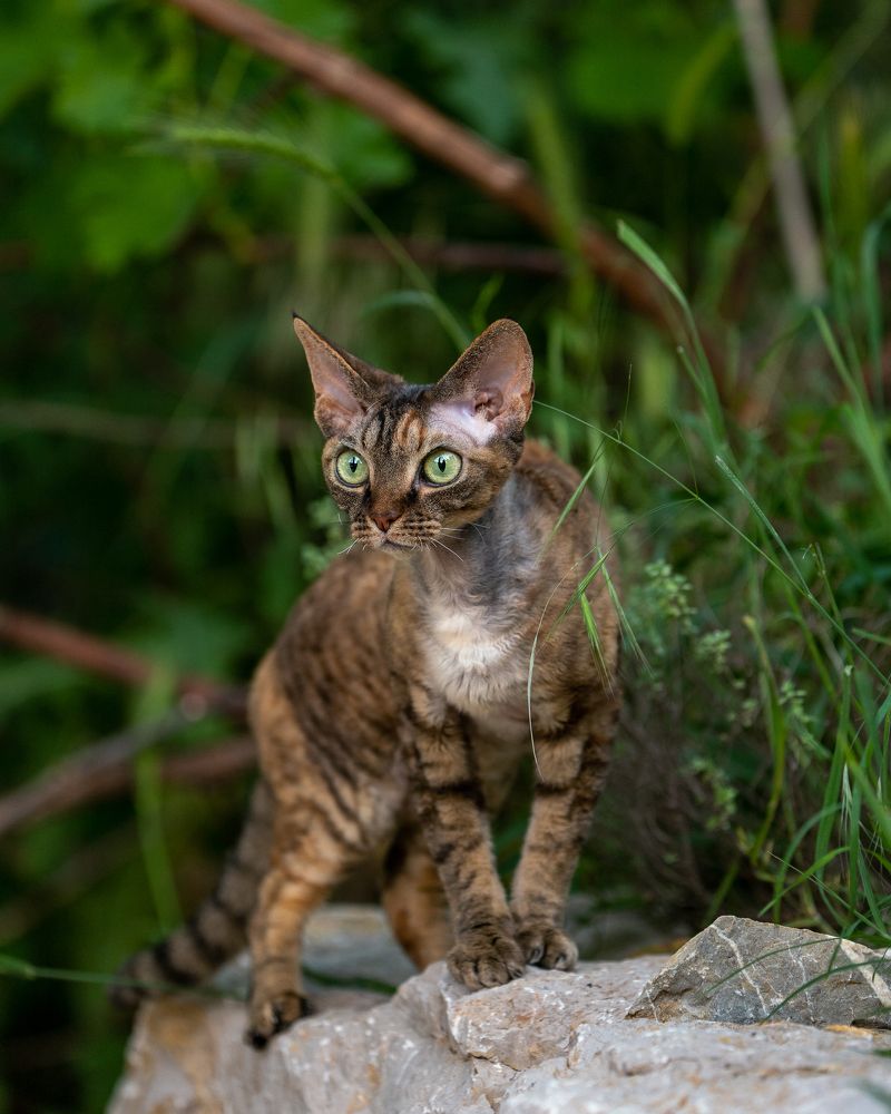 Photograph by Acrement Valentina