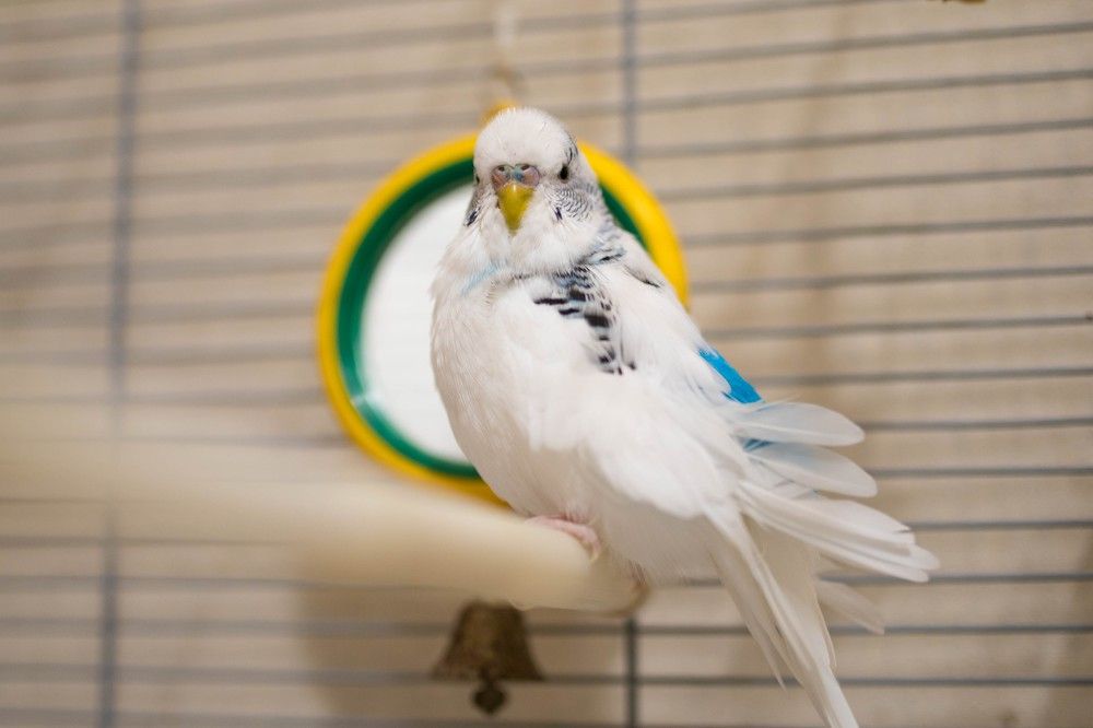 Photograph by Наталья Шорникова