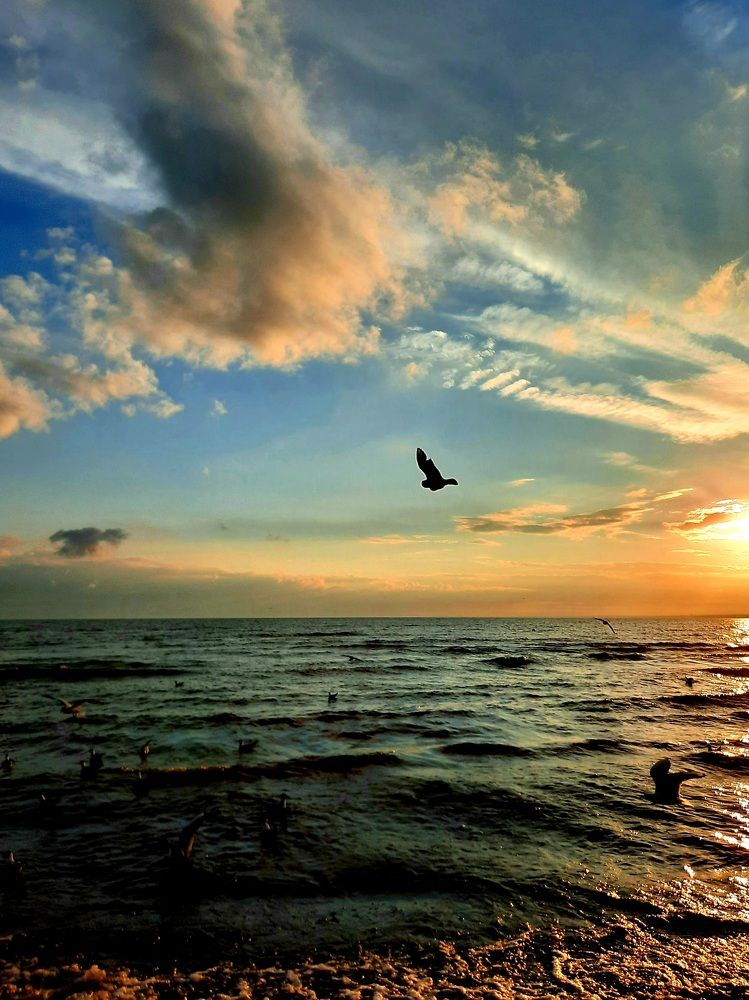 Photograph by Татьяна