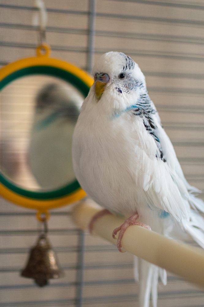 Photograph by Наталья Шорникова