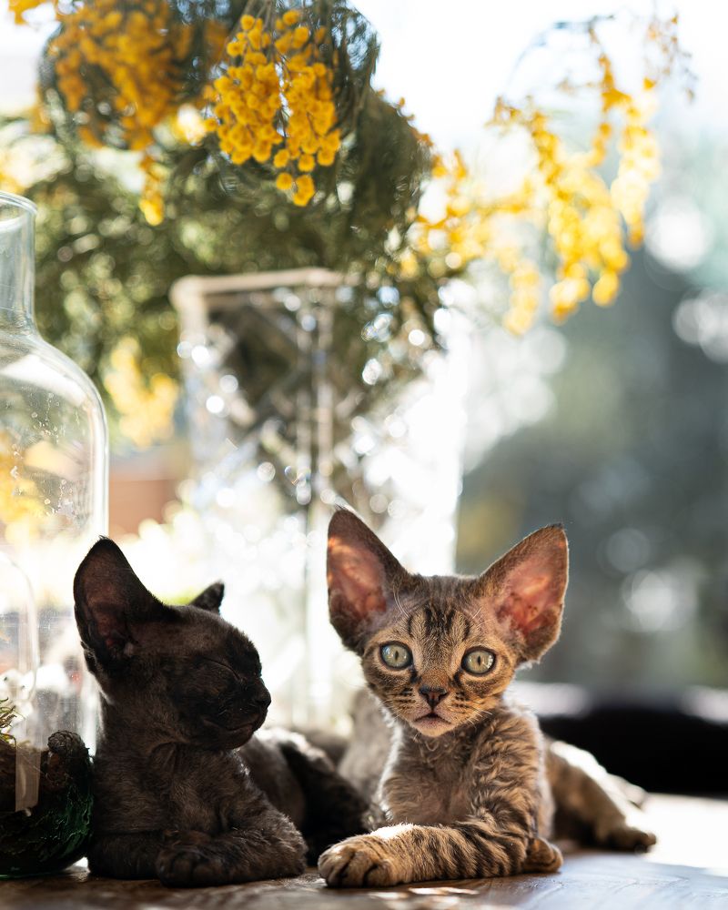 Photograph by Acrement Valentina