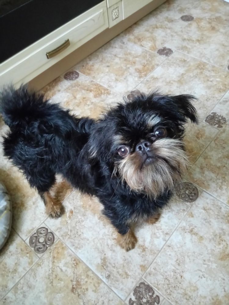 Photo #7691440