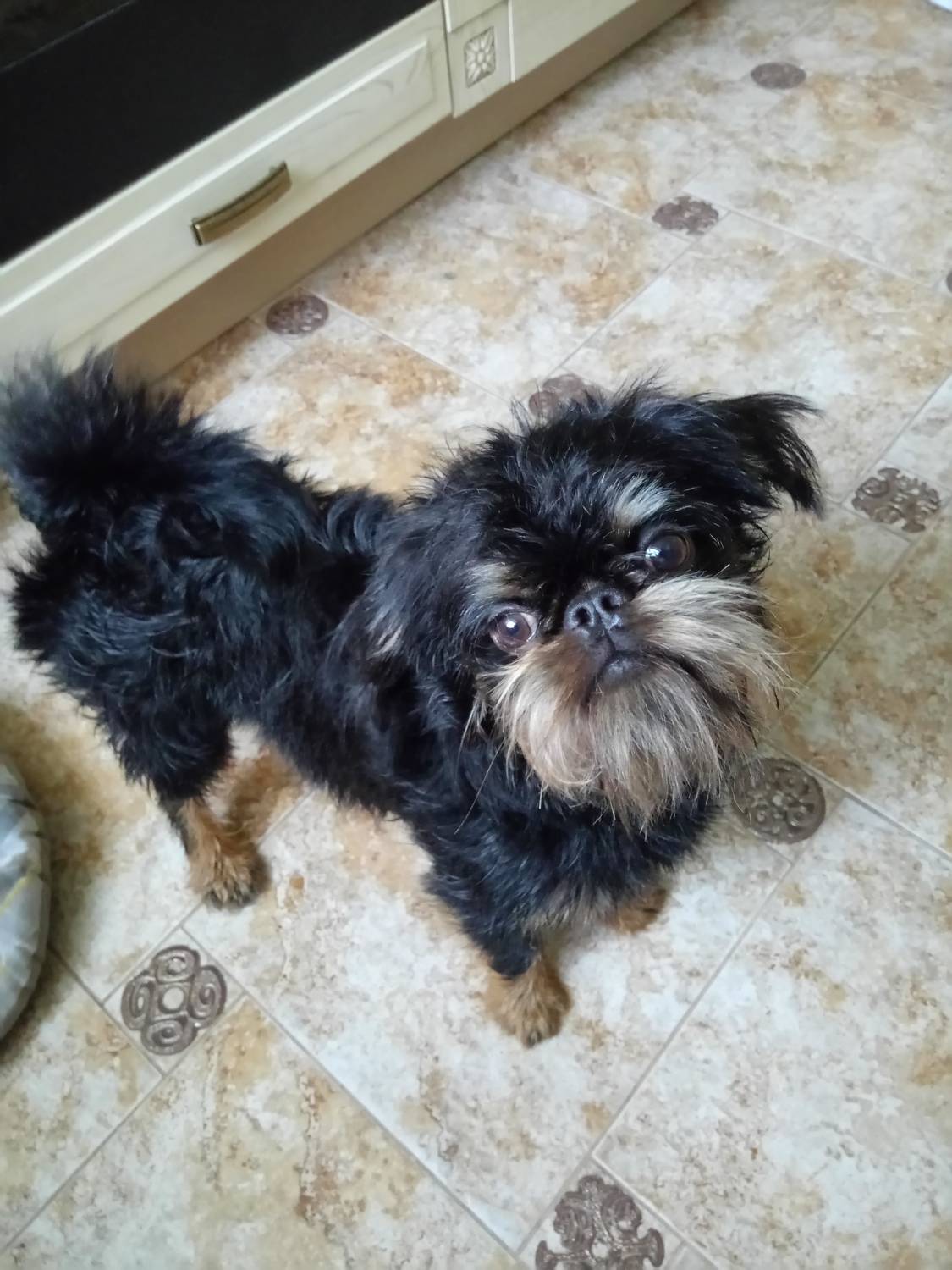 Photo #7691440