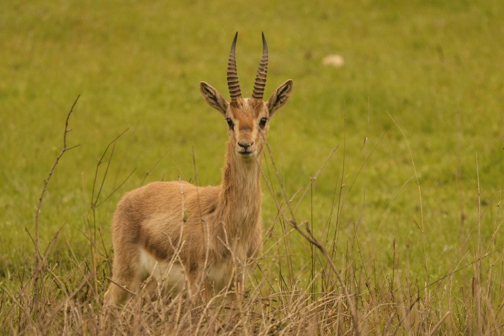 Photograph by Maher Shakarna