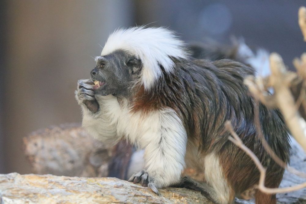 Photograph by Maher Shakarna