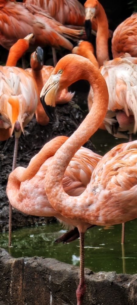 Photograph by Angelisa Gonzalez