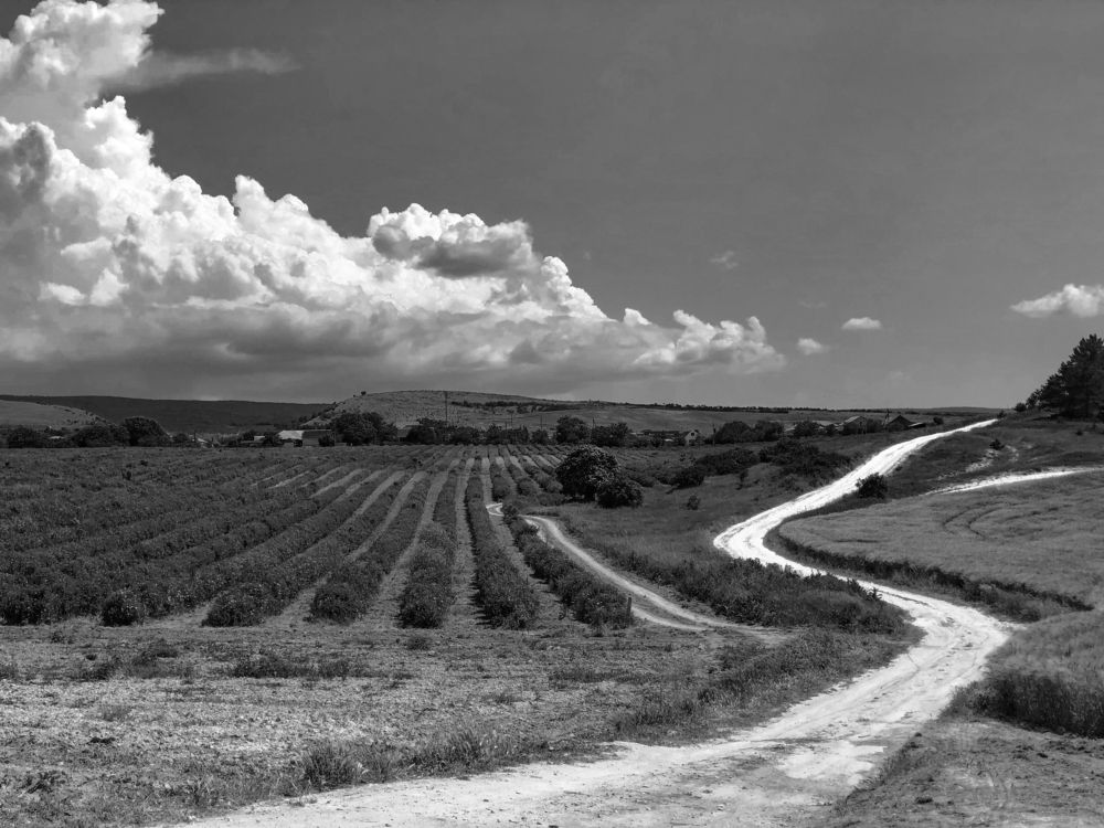 Photograph by Виктория Сметанина