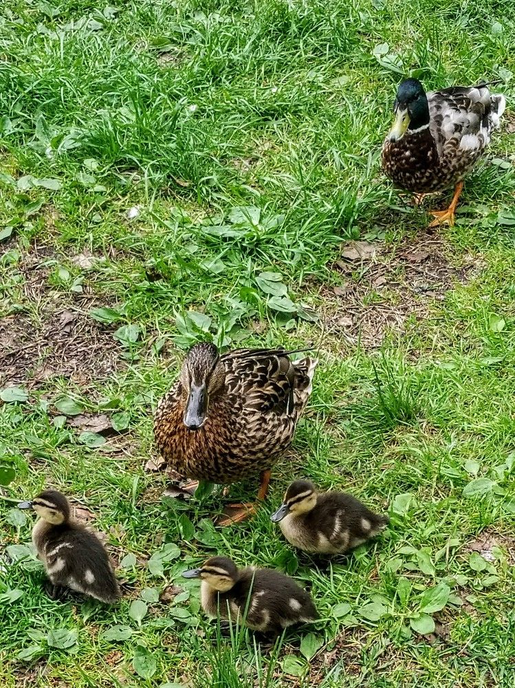 Photograph by Ирина