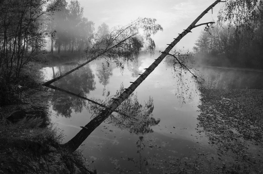 Photograph by Владимир Тертышник