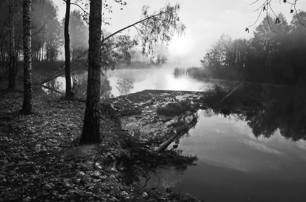 Photograph by Владимир Тертышник