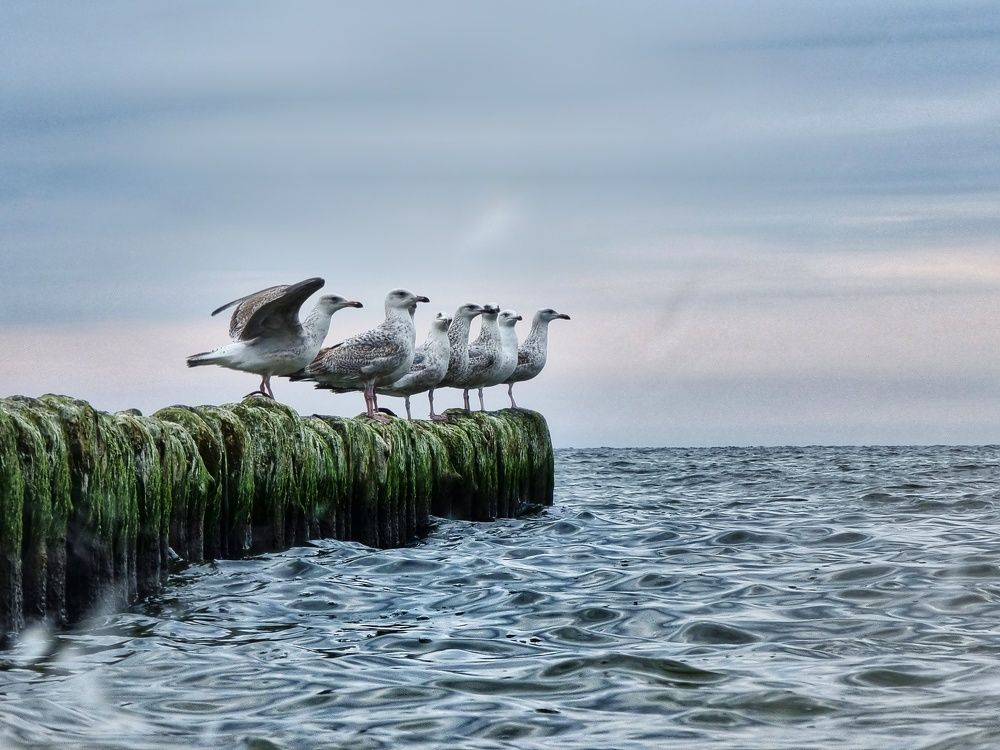 Photograph by Вячеслав Кононенео