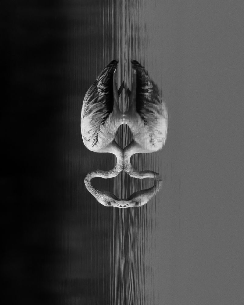 Photograph by Guruprasad Hegde