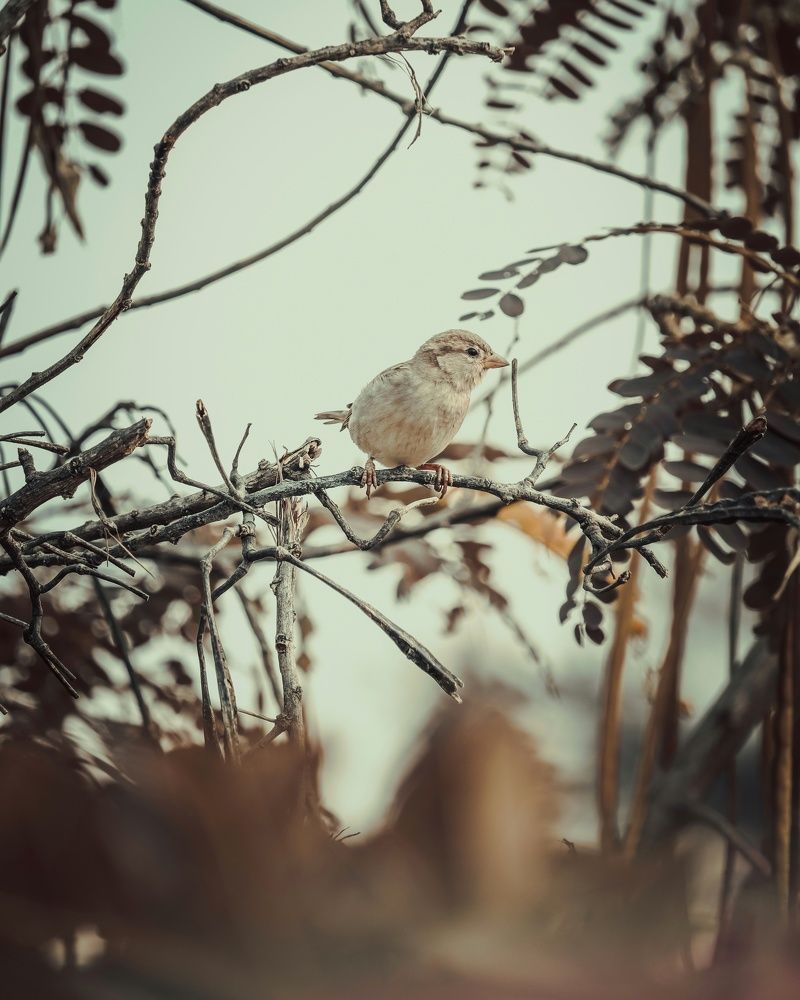 Photograph by PRATHAMESH PATIL