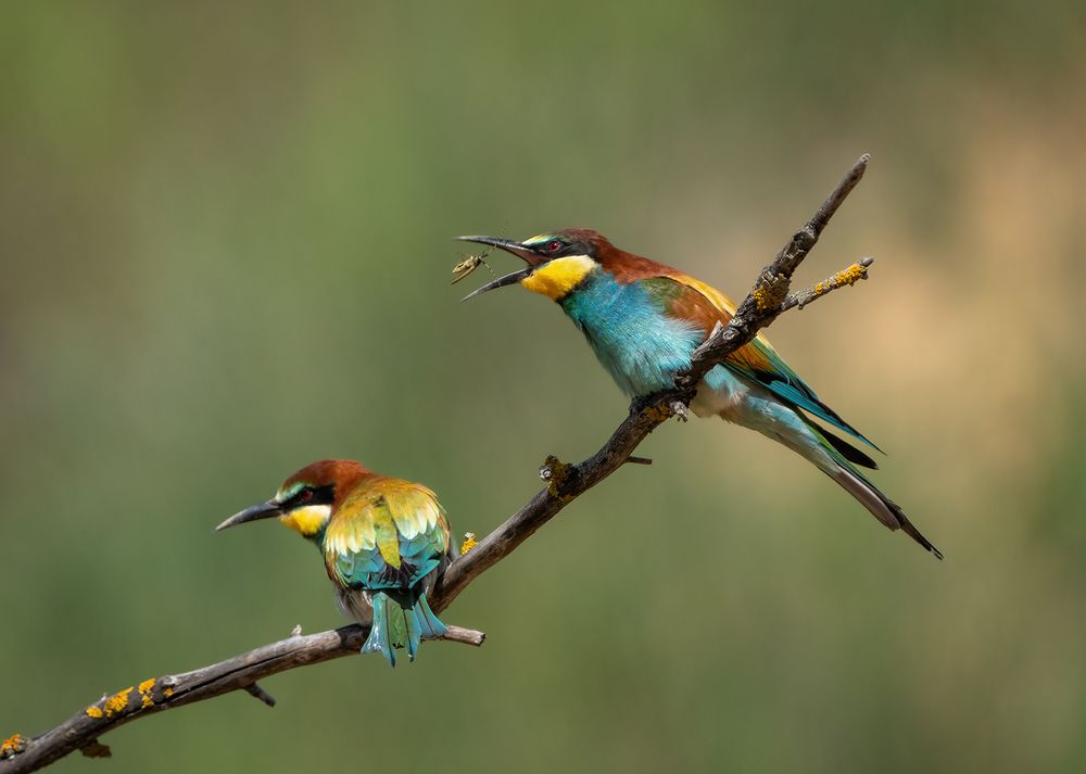 Photograph by Игорь Кляхин