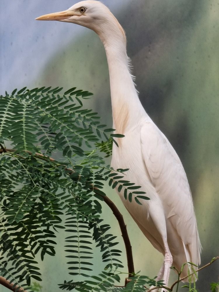 Photograph by Вячеслав Кононенео