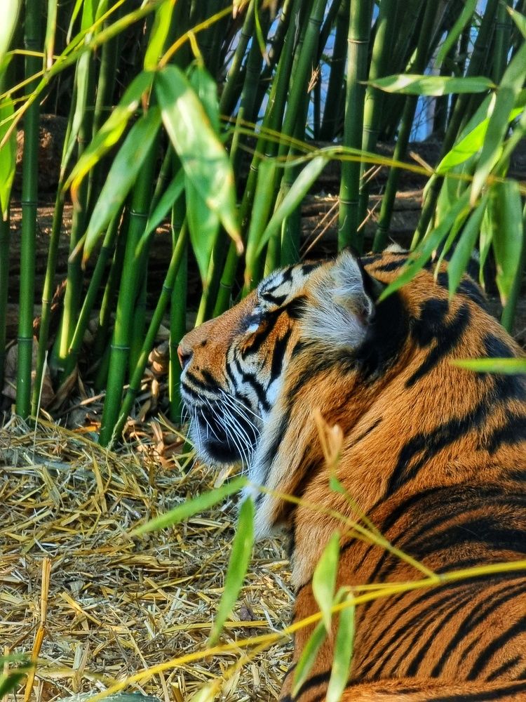 Photograph by Вячеслав Кононенео