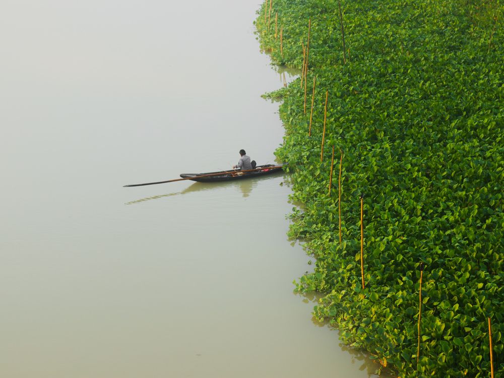 Traditional Fishing Technique in Bangladesh.