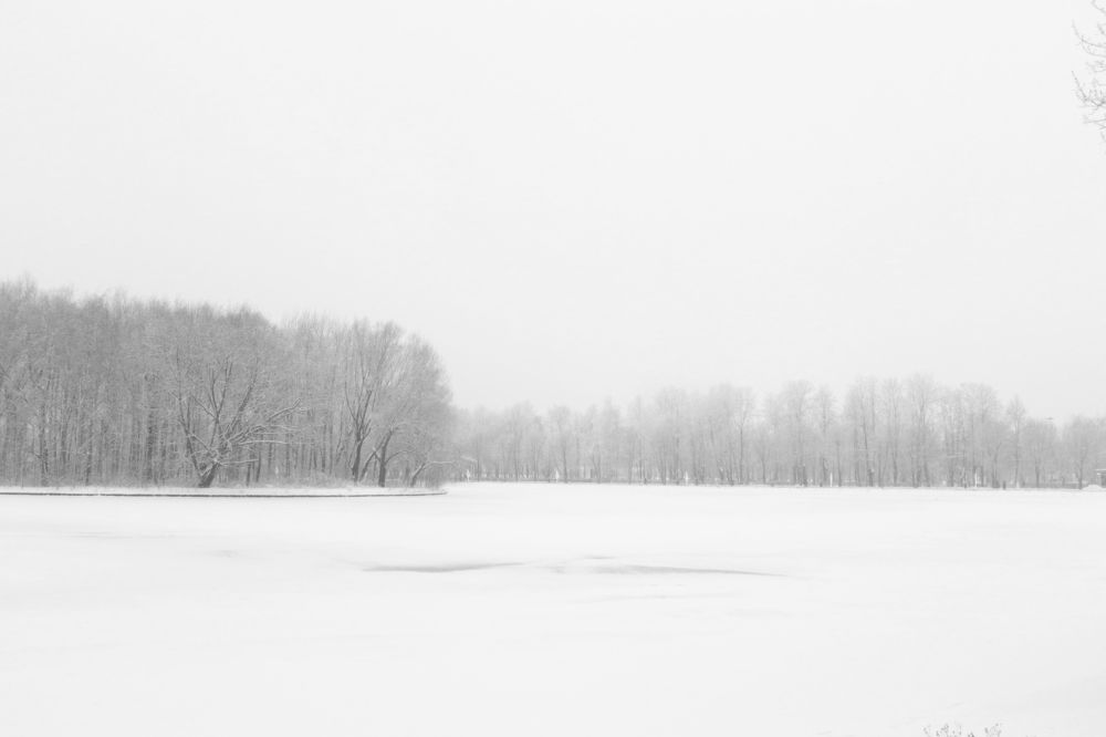 Photograph by Екатерина Яскеляйнен
