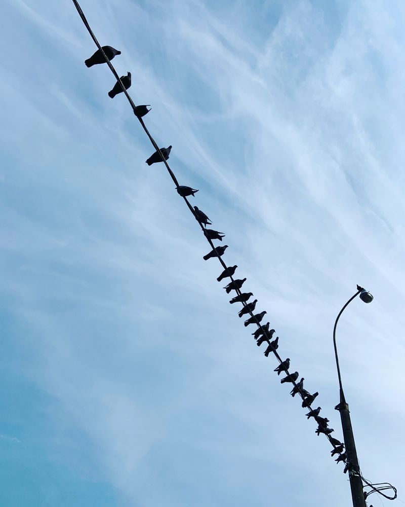 Photograph by Екатерина Яскеляйнен