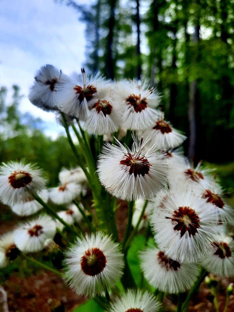 Photograph by Sergei Malyuga