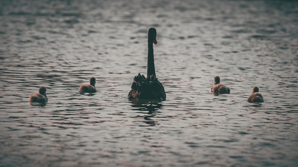 Photograph by Babar Swaleheen