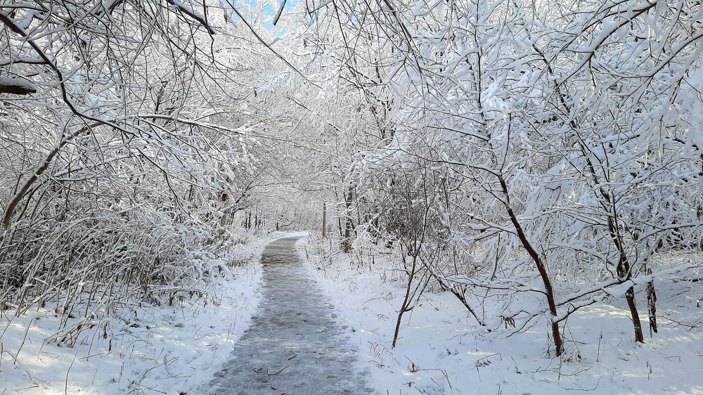 Photograph by Sergei Malyuga