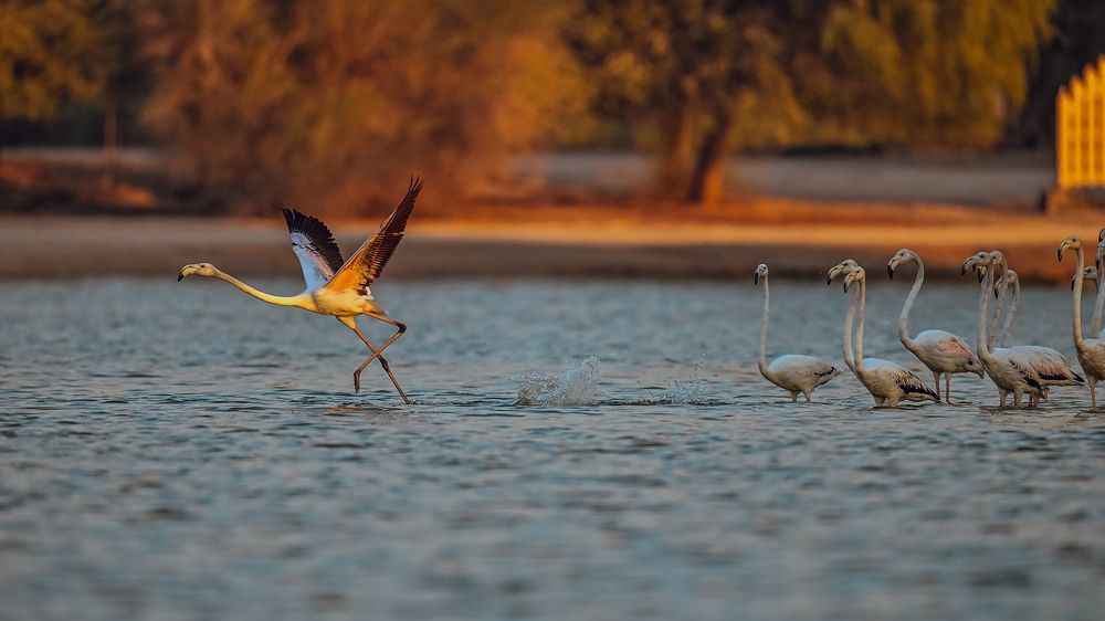 Photograph by Babar Swaleheen