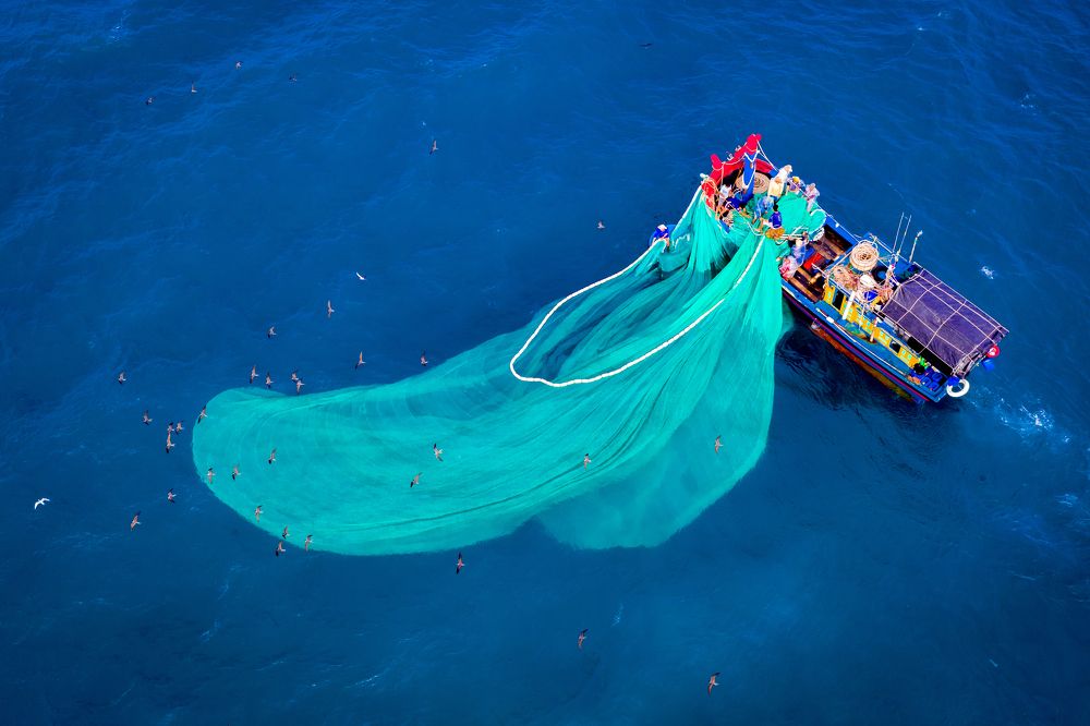 Net fishing in Hon Yen Beach