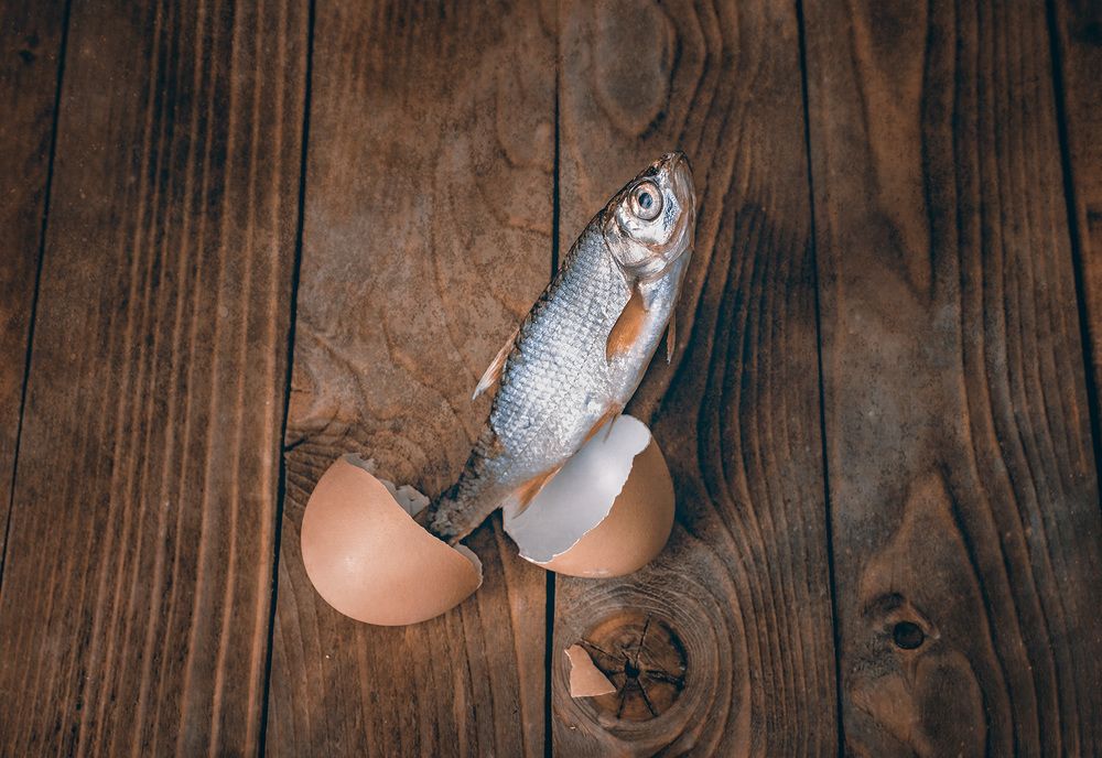 Рождение/Birth