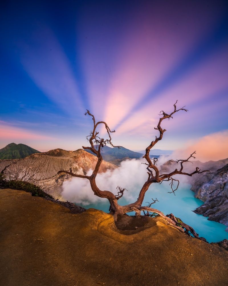 Фотография автора Wahid Hasyim