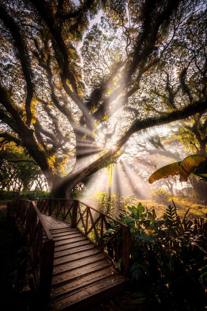 Фотография автора Wahid Hasyim