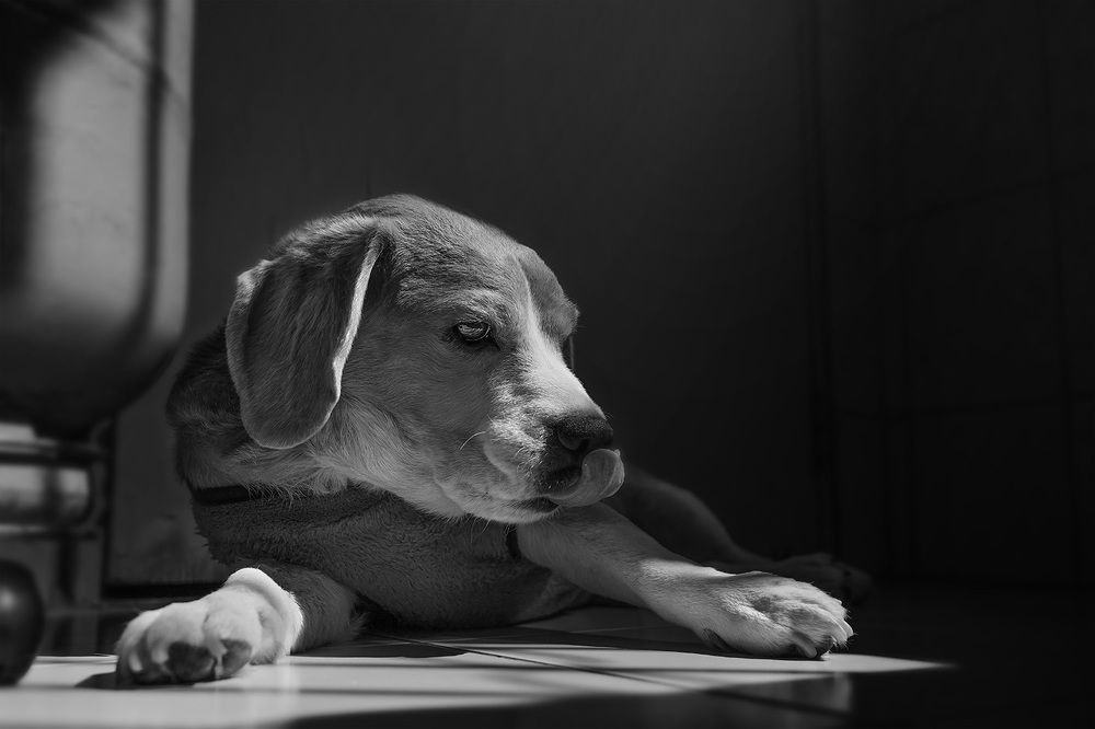 Photograph by Eduardo Machado