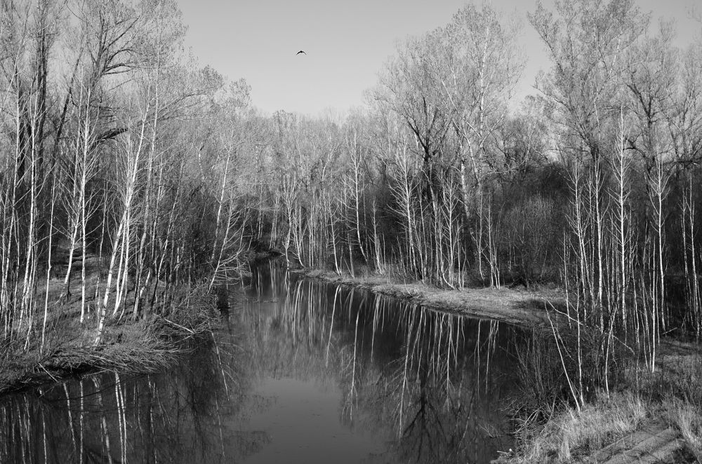 Photograph by Александр Горлов