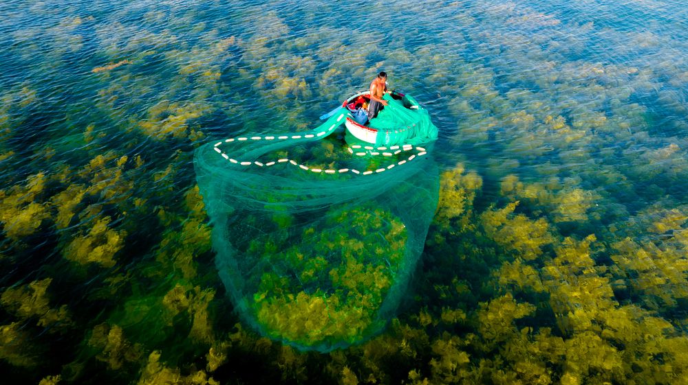 A morning with a squid fisherman