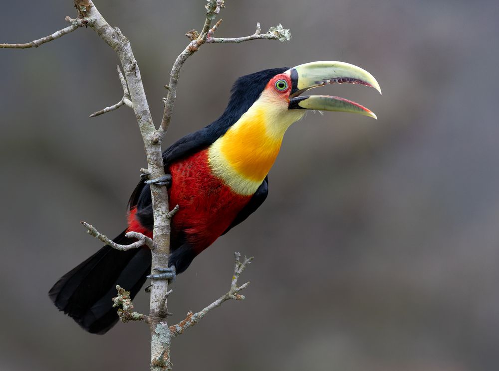 Photograph by Valdir Hobus