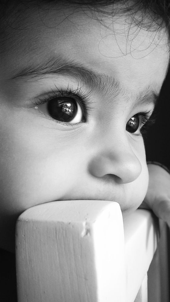Photo #7692385