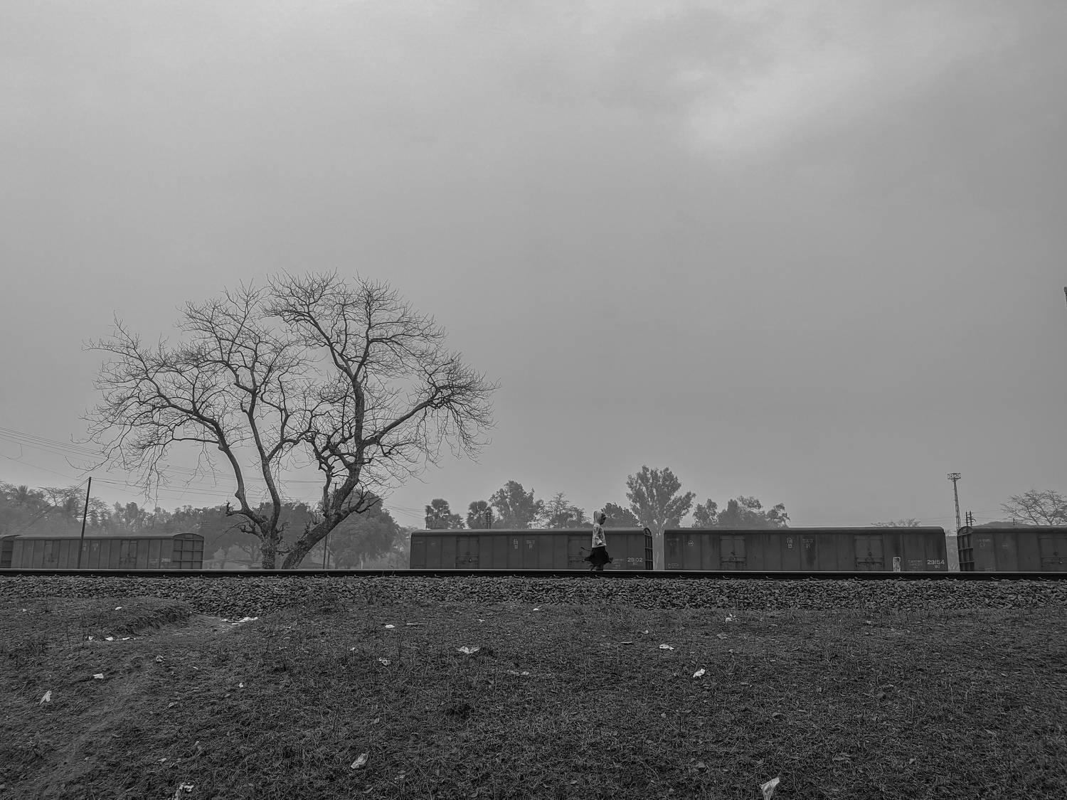 Photo #7692418
