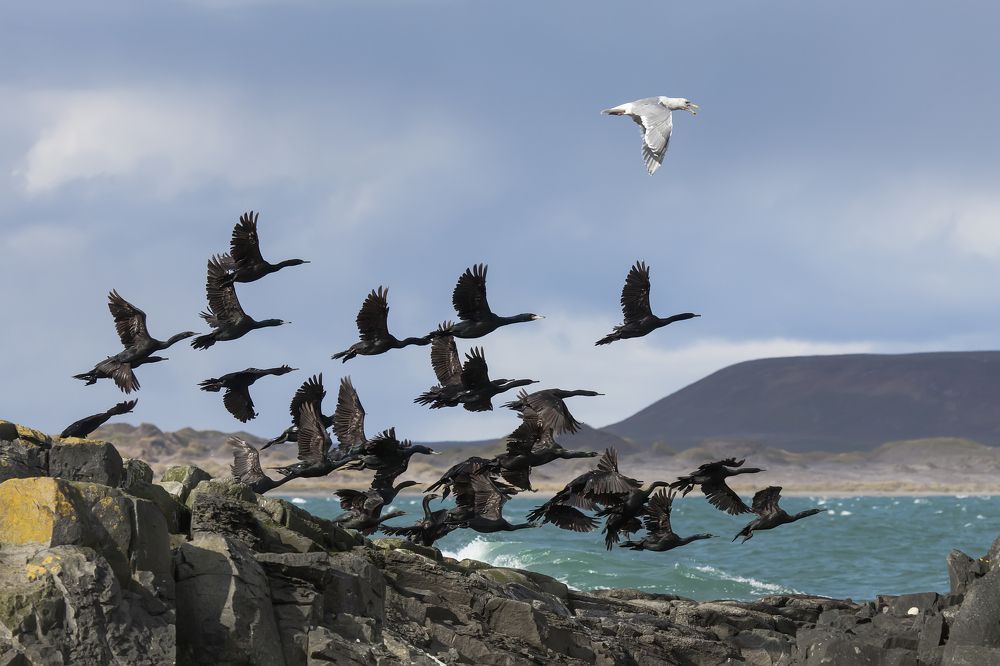 Фотография автора Дмитрий Уткин