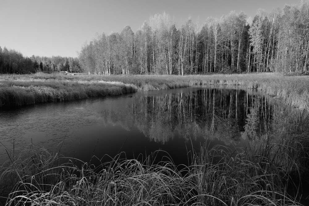 Photograph by Алексей Тишин