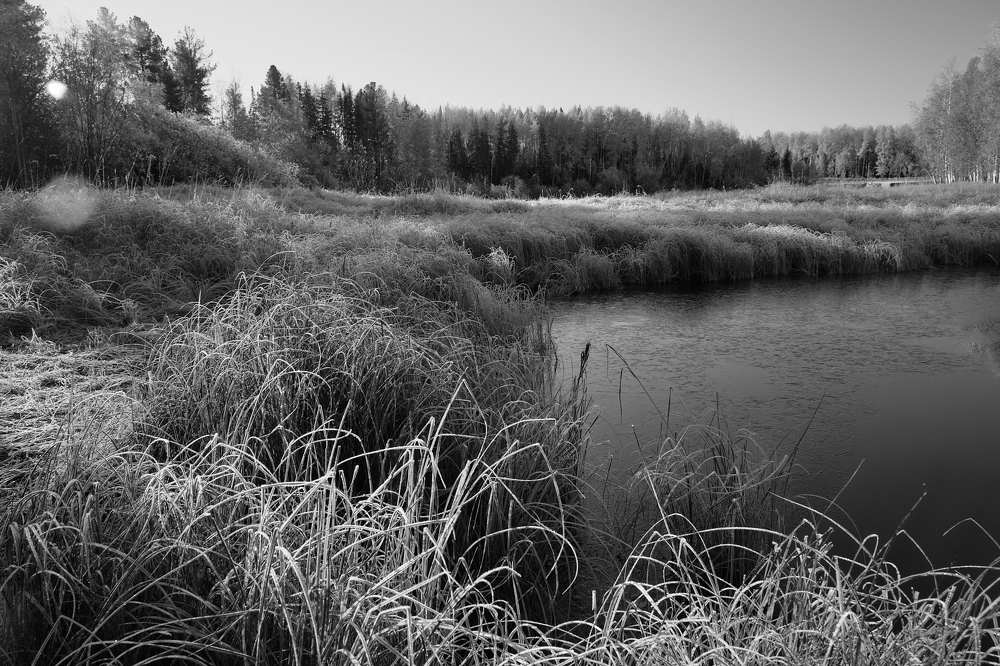 Photograph by Алексей Тишин