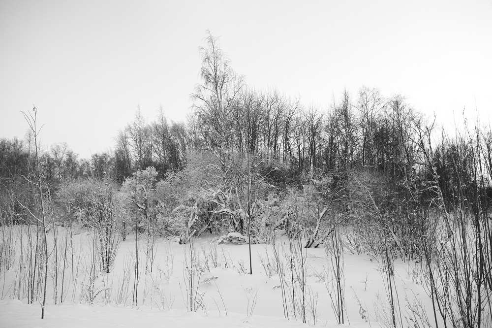 Photograph by Алексей Тишин