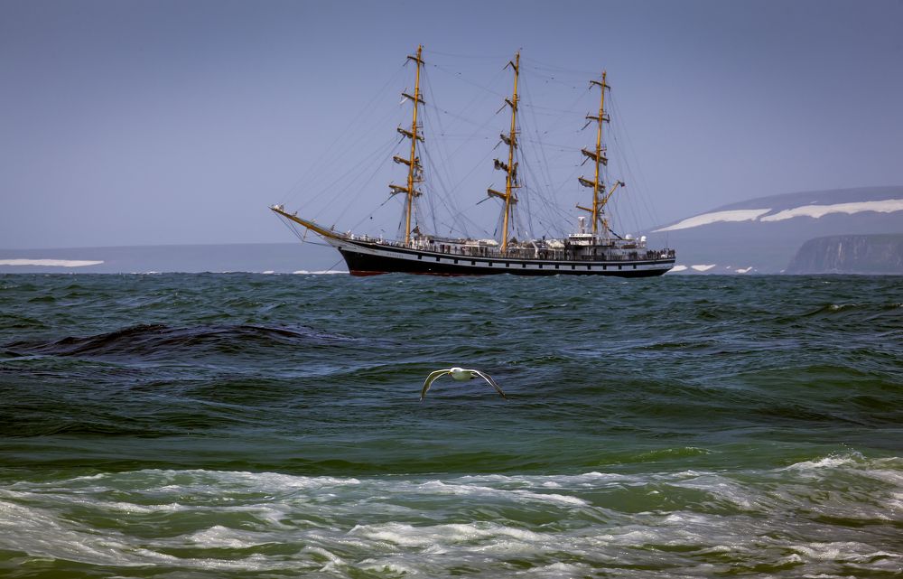 Фотография автора Дмитрий Уткин