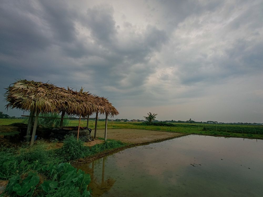 Photograph by Srikanta pal