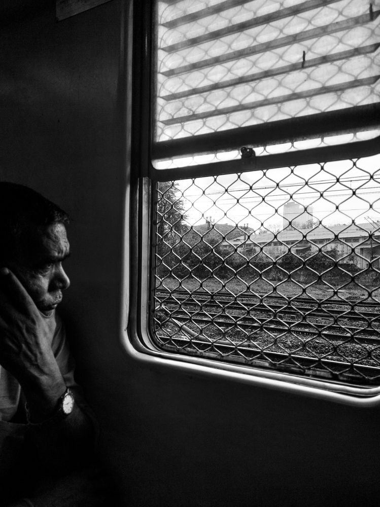 Photo #7692522