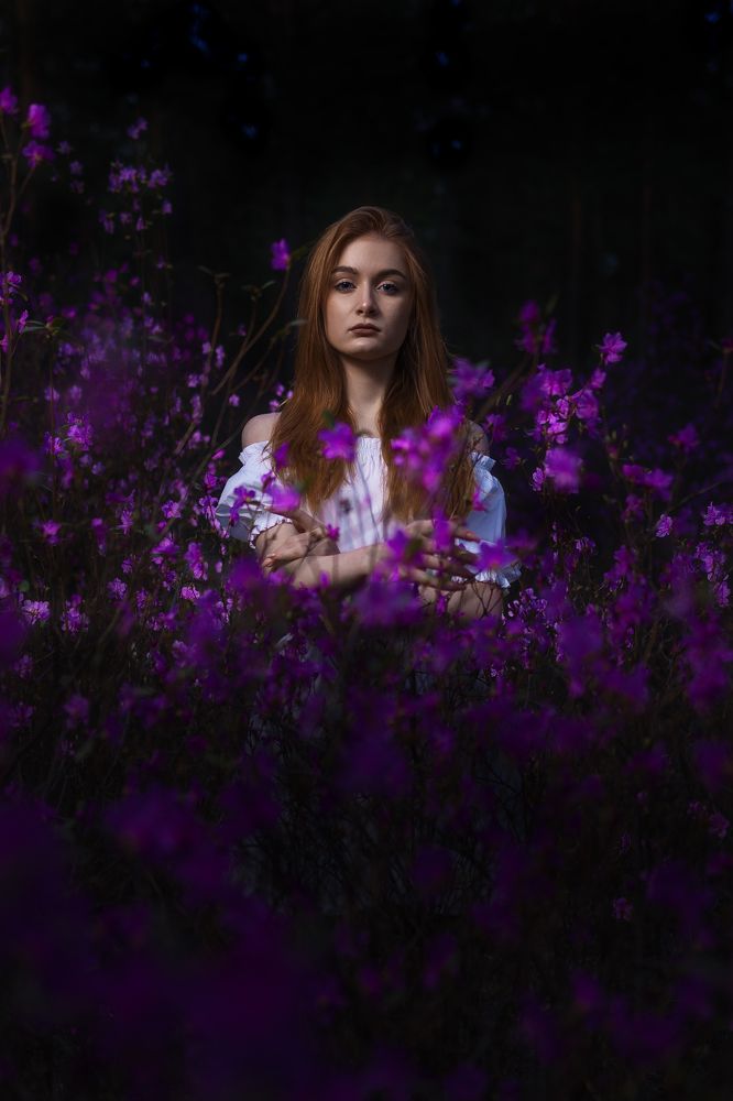 Rhododendron dauricum