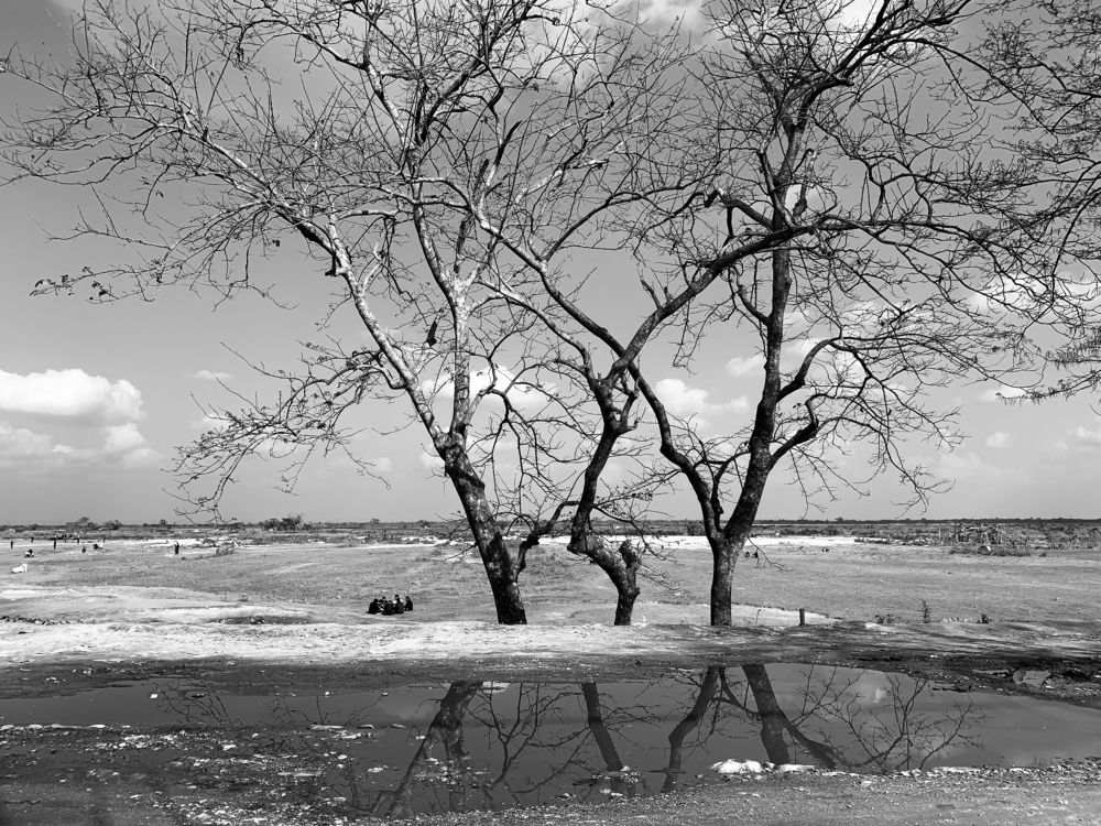 Фотография автора Subhranil Roy