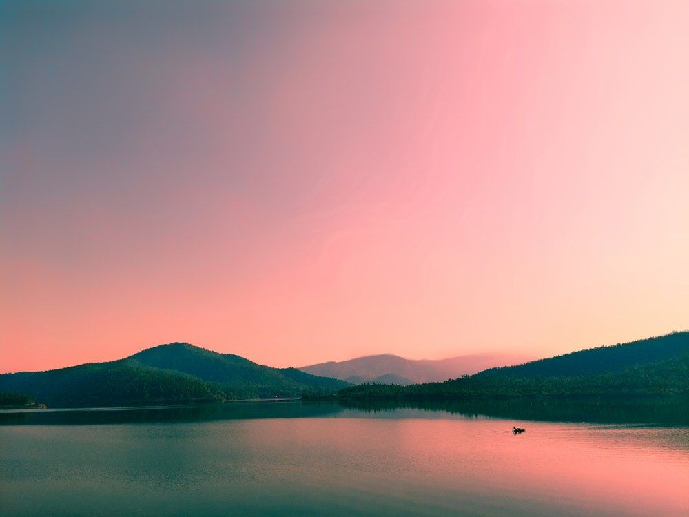 Photograph by Rahul kumar