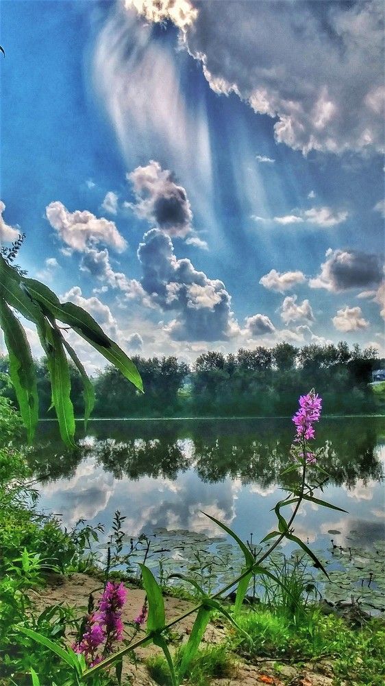 Photograph by Nikolai