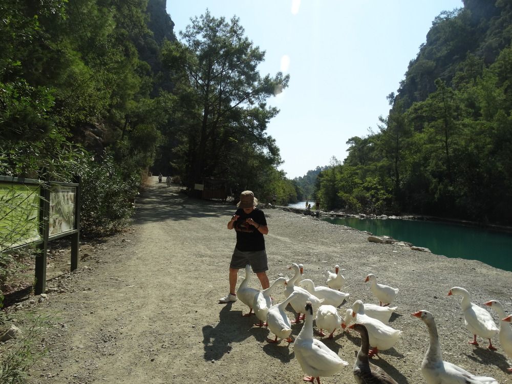 Photograph by Светлана Выдрова